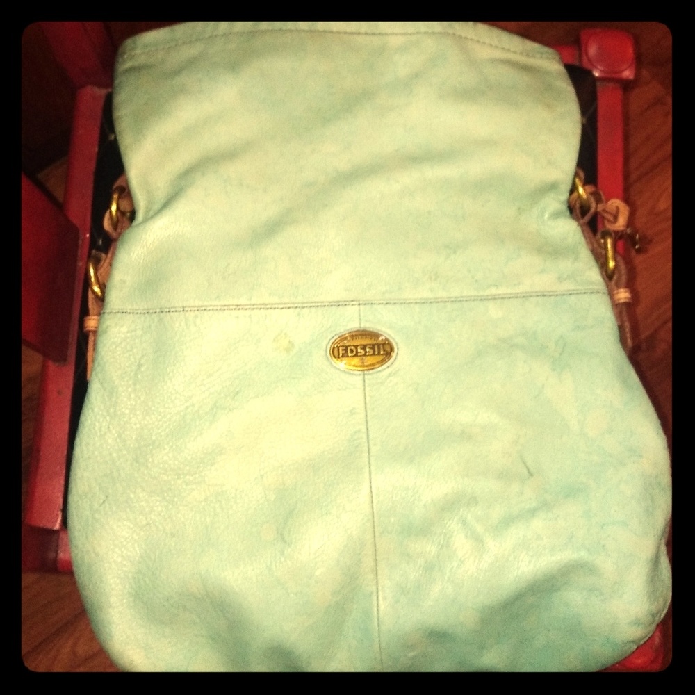 Fossil Bag